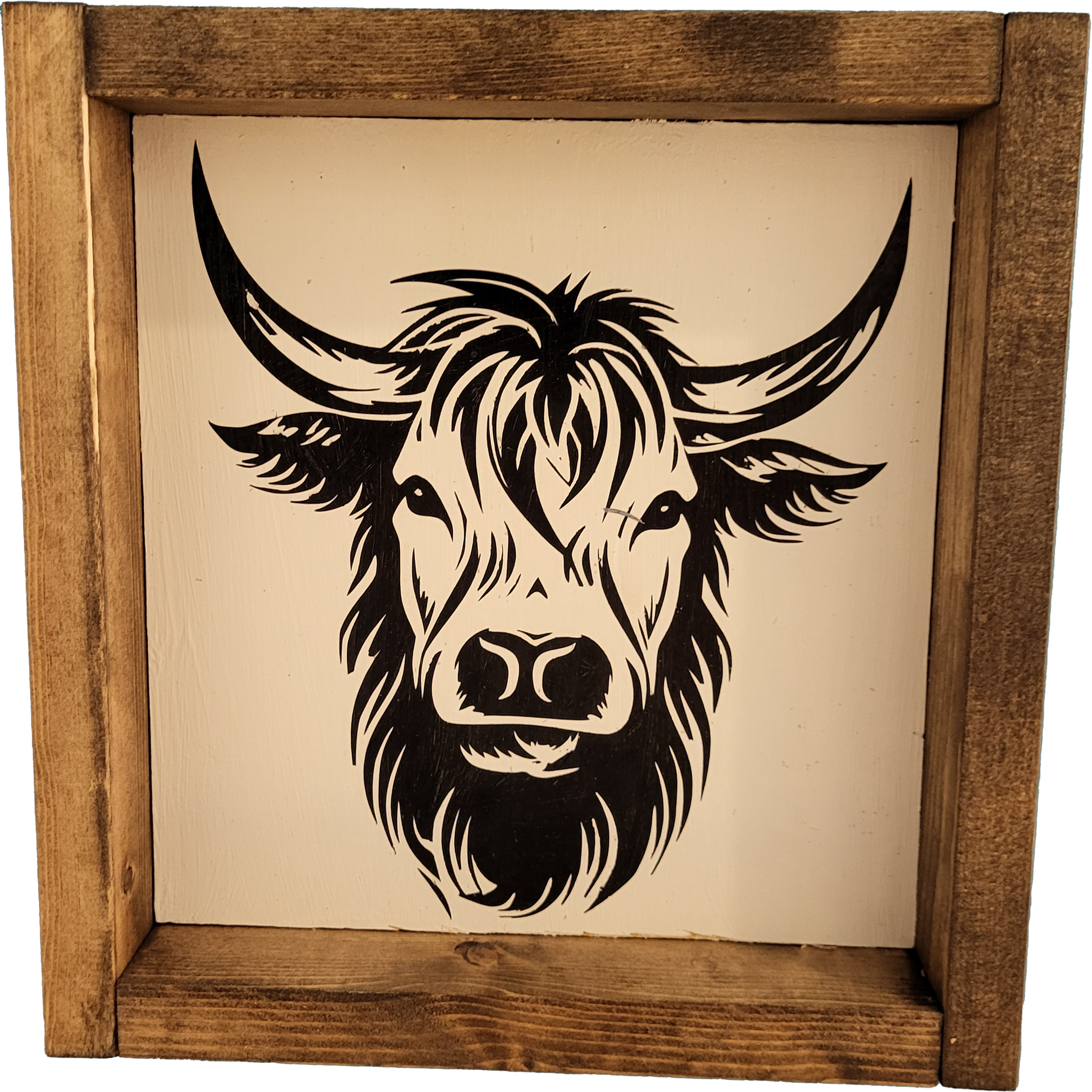 Hyland cow